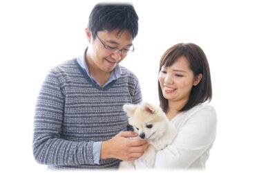 保護犬を共働き家庭で譲り受ける条件と里親募集に応募する流れ