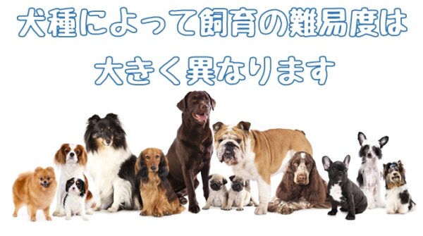 共働きの家庭で犬を飼うボーダーライン 多忙な日々で犬を飼育する知識とコツ 共働きでdogs 愛犬の飼育と仕事と生活の両立アイデア情報局