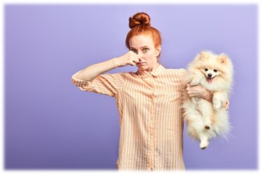 愛犬が以前よりプーン！？室内犬でキレイにしてるのにキツくなる３つの要因