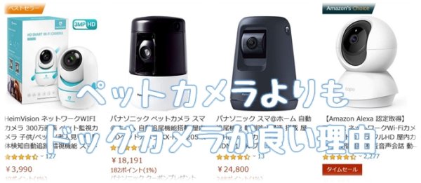 共働きならペットカメラよりもドッグカメラの方が役に立つ 共働きでdogs 愛犬の飼育と仕事と生活の両立アイデア情報局