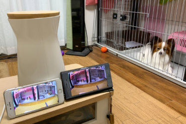 FurboドッグカメラとFurboアプリの使い方【接続・設定・設置方法】
