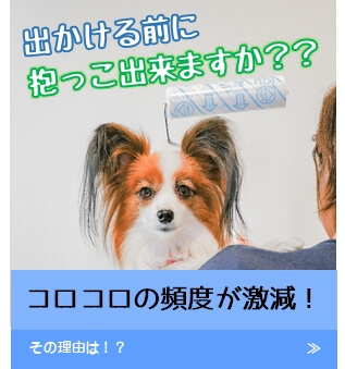 我が家は出勤前も躊躇わずにだっごできます！その理由は！？