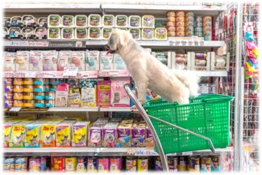 スーパーなど最寄りで買えるウェットフードは手作り犬ご飯の代わりになるか検証