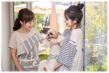 ペットシッターの利点と選ぶポイント｜満足度の高い２つのサービスを比較